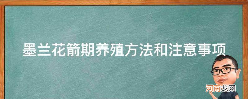 墨兰花期的养殖方法和注意事项 墨兰花箭期养殖方法和注意事项