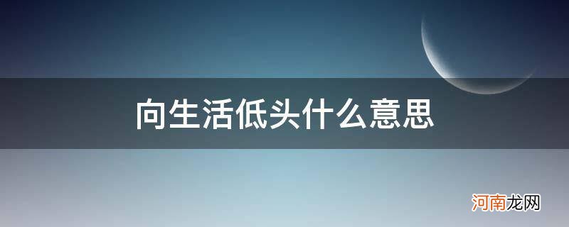 什么叫向生活低头 向生活低头什么意思