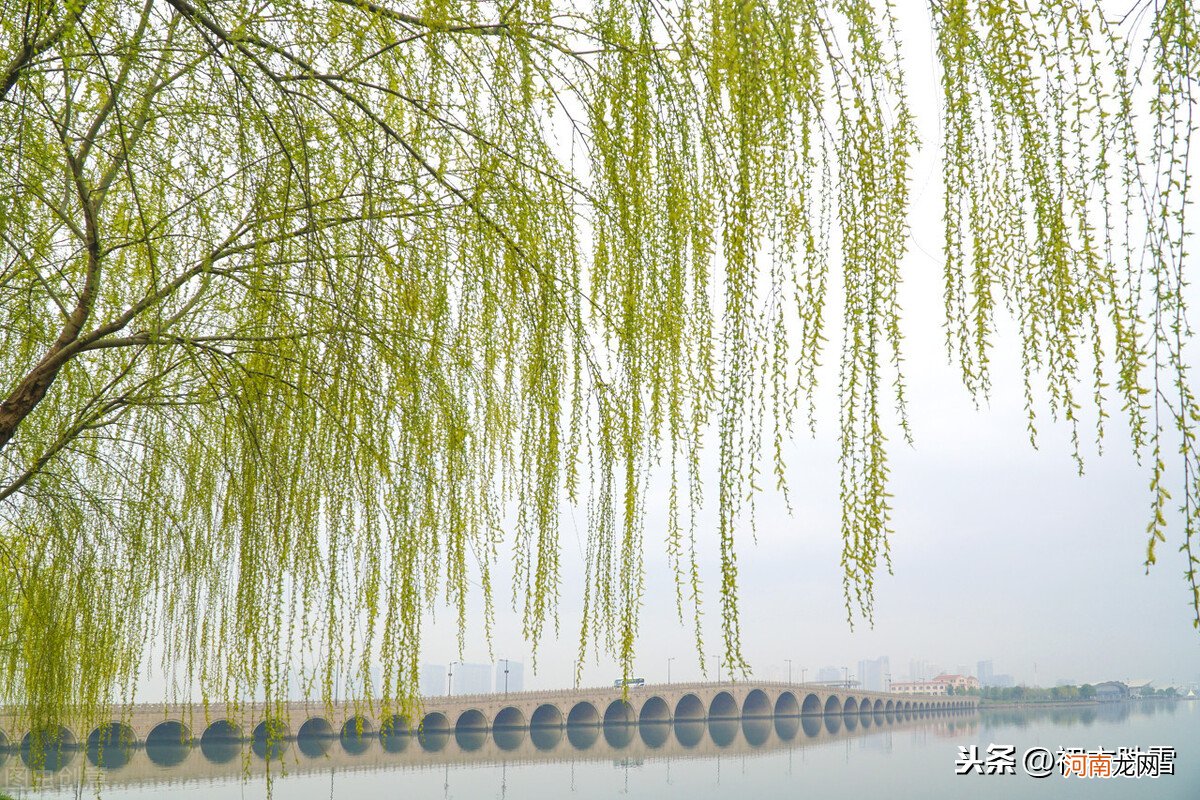 鸟鸣山更幽前一句是什么 二月春风似剪刀前一句是什么