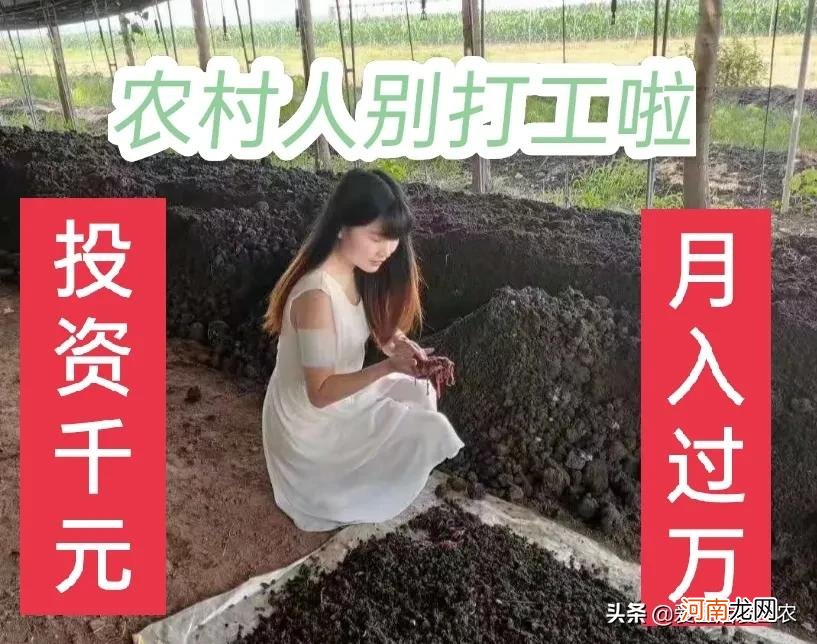 做什么生意成本低又赚钱 农村做什么生意赚钱快成本低