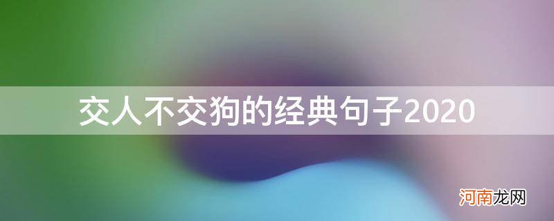 宁愿交狗也不愿交朋友句子 交人不交狗的经典句子2020