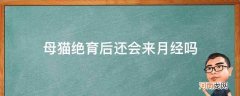 绝育完的母猫还会来月经吗 母猫绝育后还会来月经吗