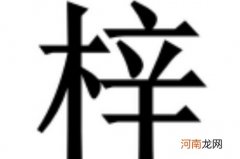 梓字取名的寓意女孩名字