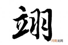 翊宸的名字寓意