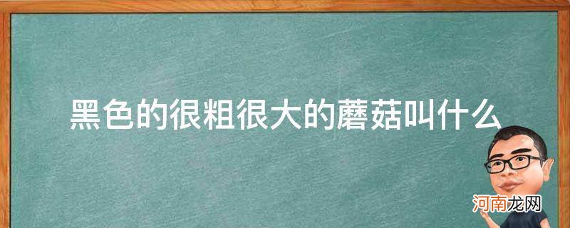 又黑又细的蘑菇叫什么名字 黑色的很粗很大的蘑菇叫什么