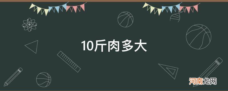 10斤肉多大一块图片 10斤肉多大