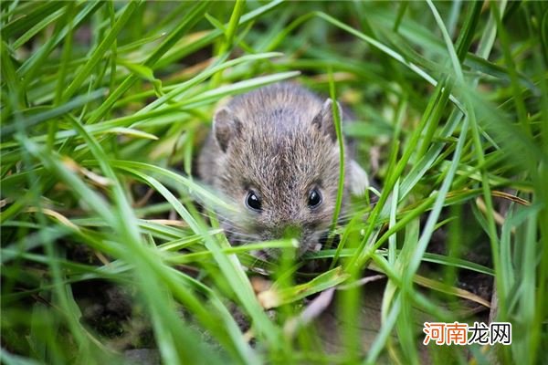 四个字装饰公司名称大全集 流行洋气的企业好名