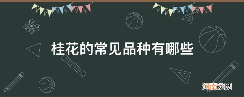 最常见的桂花是什么品种 桂花的常见品种有哪些