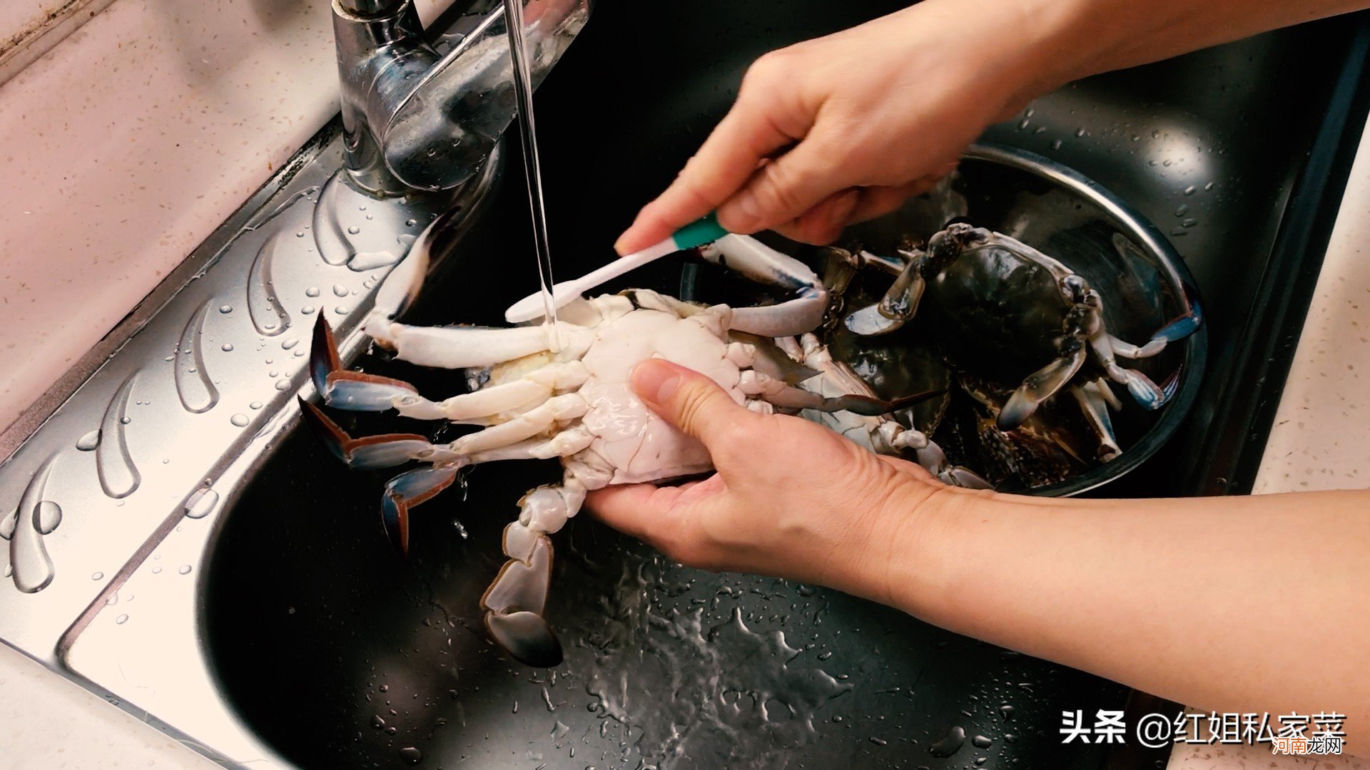 爆炒梭子蟹的做法步骤 清蒸梭子蟹的做法和步骤窍门