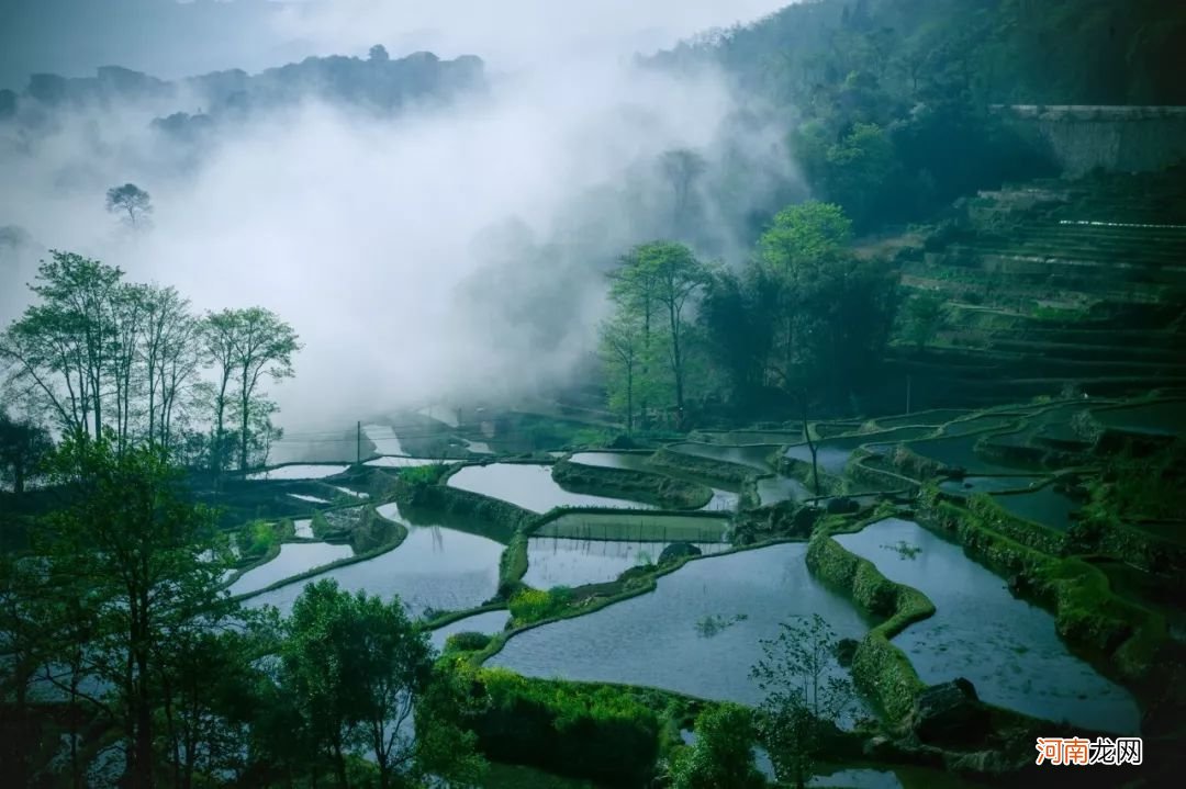 富有哲理的古诗文 蕴含哲理的古诗文名句