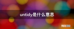 untidy是什么意思中文 untidy是什么意思