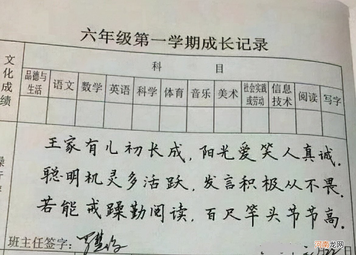 小学教师年度考核评语简短 教师年度考核评语