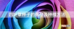 四叶草花种子怎么种 四叶草种子的保存及种植方法