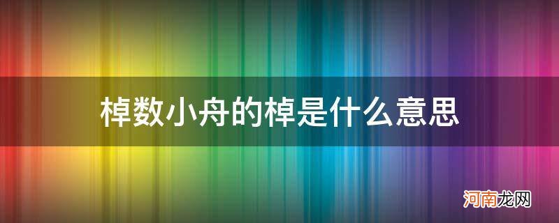 棹数小舟的棹是什么意思啊 棹数小舟的棹是什么意思