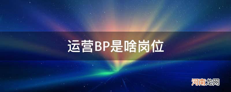 运营bp岗位是什么意思 运营BP是啥岗位