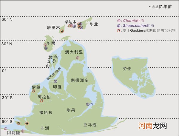 埃迪卡拉动物群生活于深海 埃迪卡拉生物群