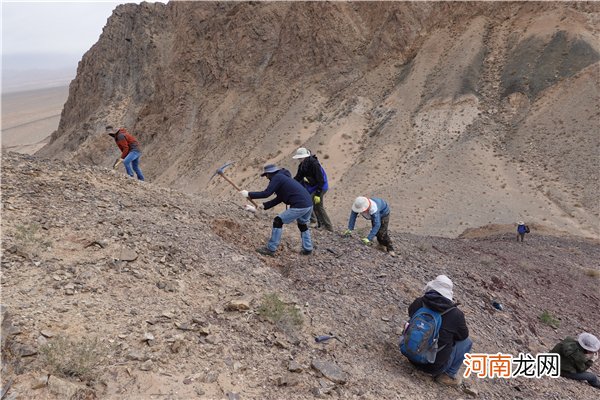 埃迪卡拉动物群生活于深海 埃迪卡拉生物群