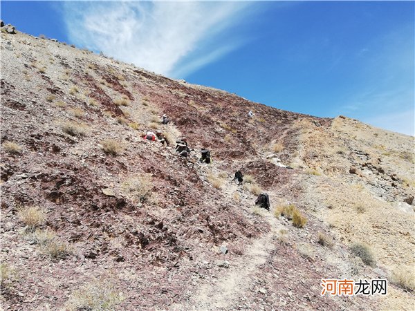 埃迪卡拉动物群生活于深海 埃迪卡拉生物群