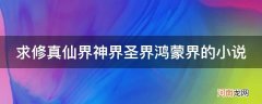 有仙界神界圣界混沌界的小说 求修真仙界神界圣界鸿蒙界的小说