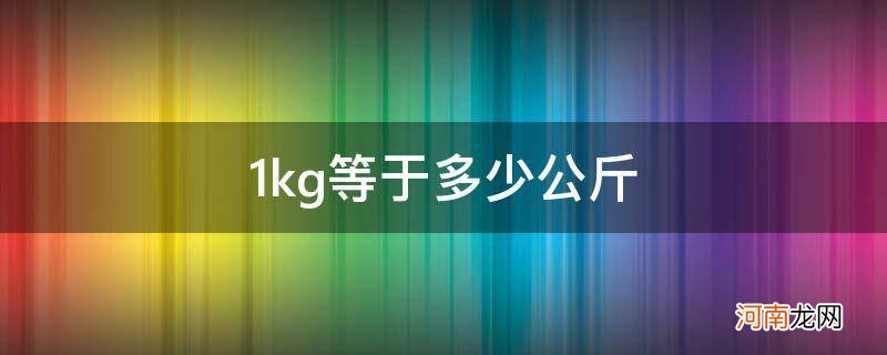 1kg等于多少斤 1kg等于多少公斤