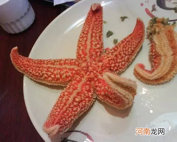 十大剧毒海星 海星能不能吃