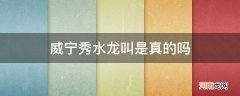 威宁县秀水镇龙叫是不是真的 威宁秀水龙叫是真的吗