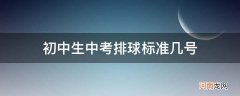 初中考试排球用几号 初中生中考排球标准几号