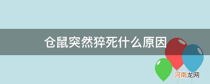 仓鼠早上突然死是什么原因 仓鼠突然猝死什么原因