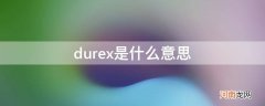 durex是什么意思英文 durex是什么意思