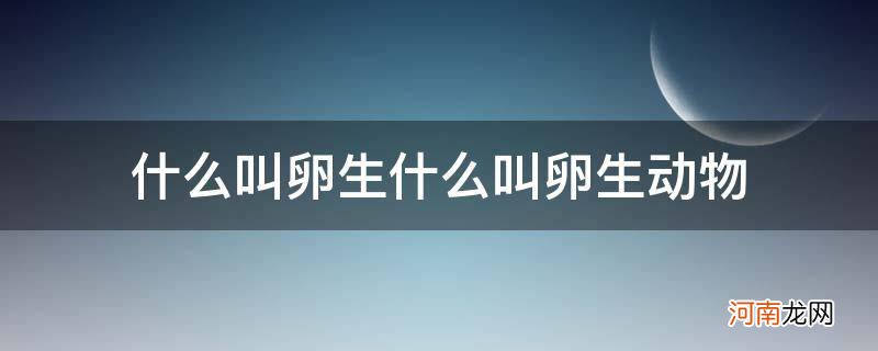 什么叫卵生动物什么叫胎生动物 什么叫卵生什么叫卵生动物