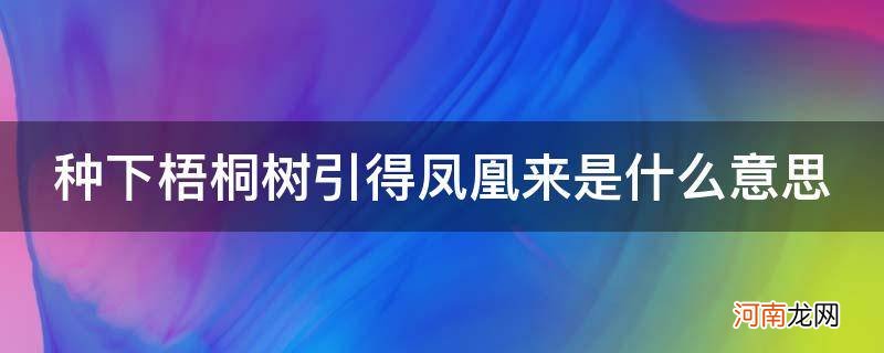 栽下梧桐树引得凤凰来出自 种下梧桐树引得凤凰来是什么意思