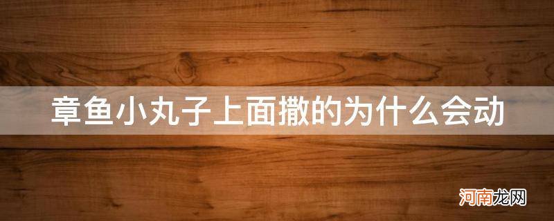 章鱼小丸子上面那个为什么会动 章鱼小丸子上面撒的为什么会动