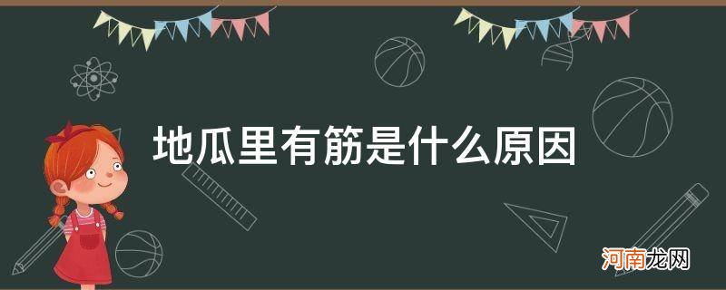 地瓜表面有筋是什么原因 地瓜里有筋是什么原因