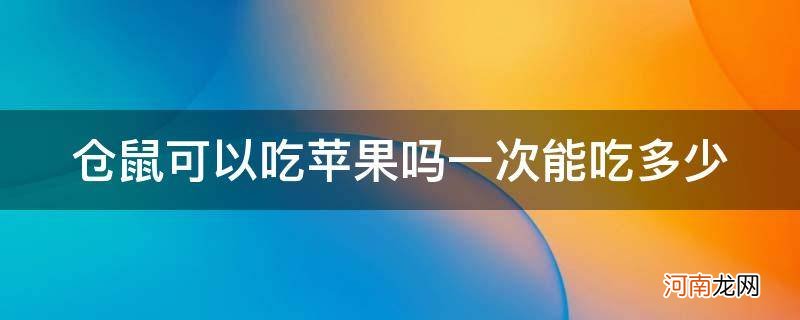 仓鼠能每天吃苹果吗 仓鼠可以吃苹果吗一次能吃多少