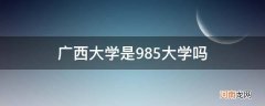 广西那个大学是985 广西大学是985大学吗