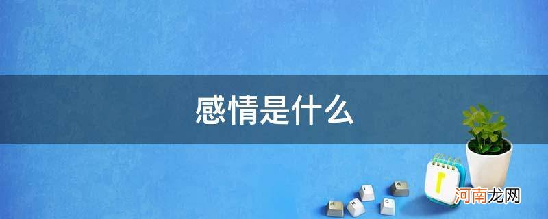 感情是什么意思解释 感情是什么