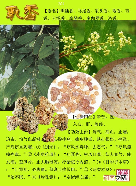 6000种中草药大全 草药图片大全