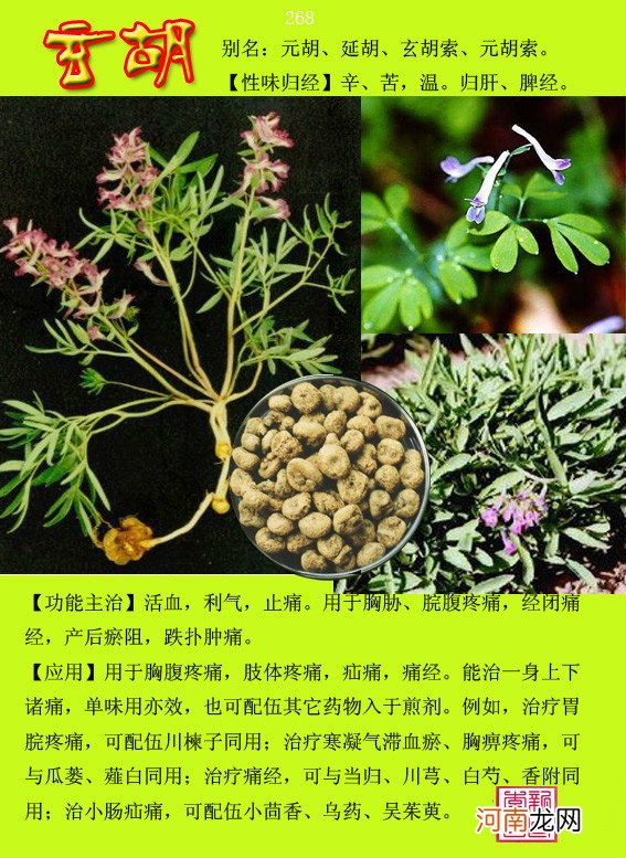 6000种中草药大全 草药图片大全