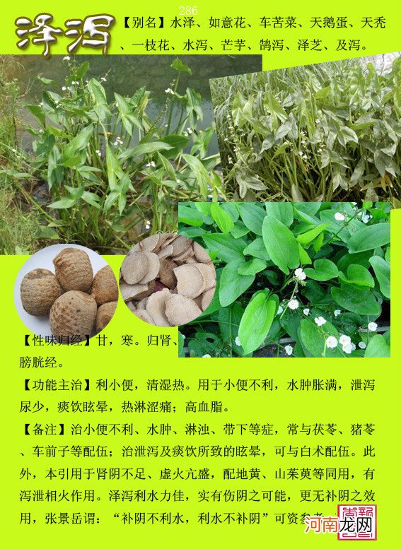 6000种中草药大全 草药图片大全