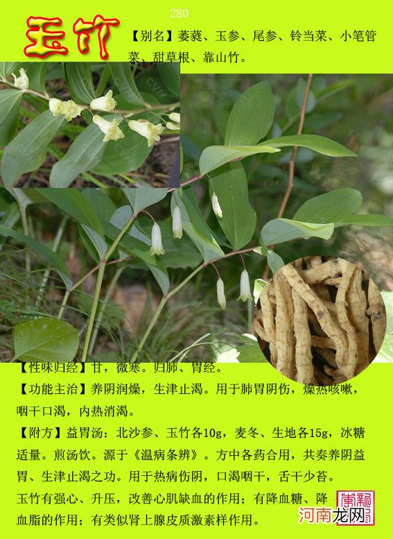 6000种中草药大全 草药图片大全