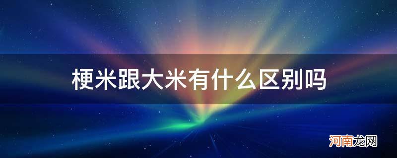 粳米和大米有何区别 梗米跟大米有什么区别吗