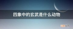 四象中玄武是什么意思 四象中的玄武是什么动物