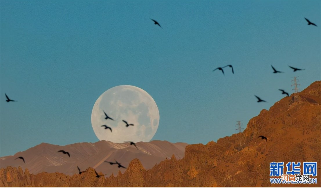 沙漠超级月亮是什么意思 超级月亮是什么意思