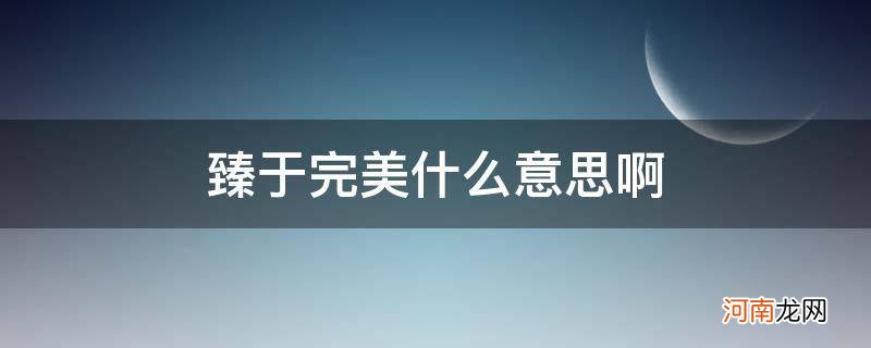 臻于完美什么意思和拼音 臻于完美什么意思啊