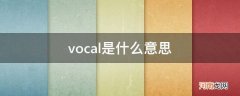 vocal担当是什么意思 vocal是什么意思