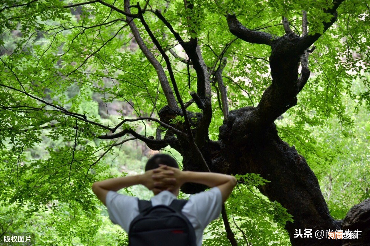 我国56个民族的传统节日有哪些 56个民族的风土人情和风俗习惯