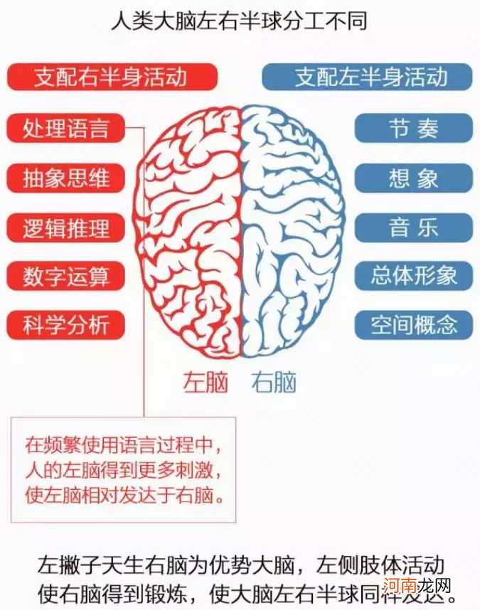 左撇子的存在 国际左撇子日是真实存在的吗