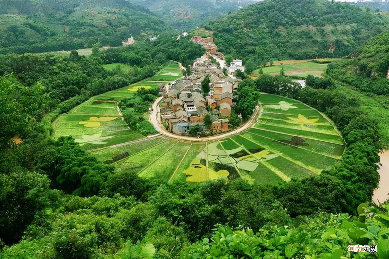 褚时健1968年干了什么 褚时健得罪了谁是被冤枉的吗