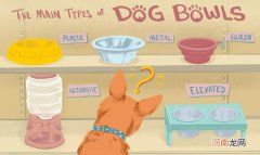 塑料狗碗和不锈钢狗碗哪个好 狗狗食盆用什么材质的好
