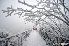 张家界最好玩的地方有哪些 张家界旅游攻略自由行攻略